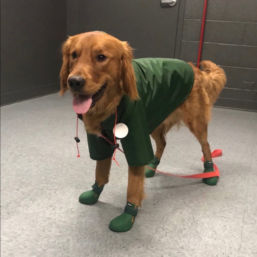Wagwear Nylon Rainbreaker (Green)